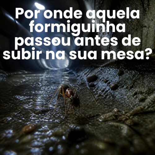 Barata na escova de dente (1)